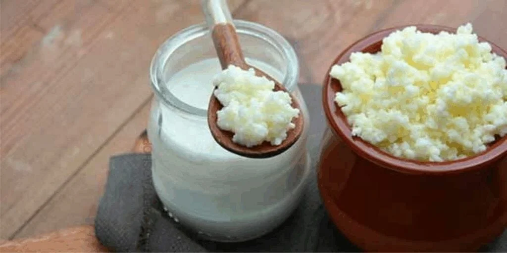 Il Kefir e i suoi benefici per la salute