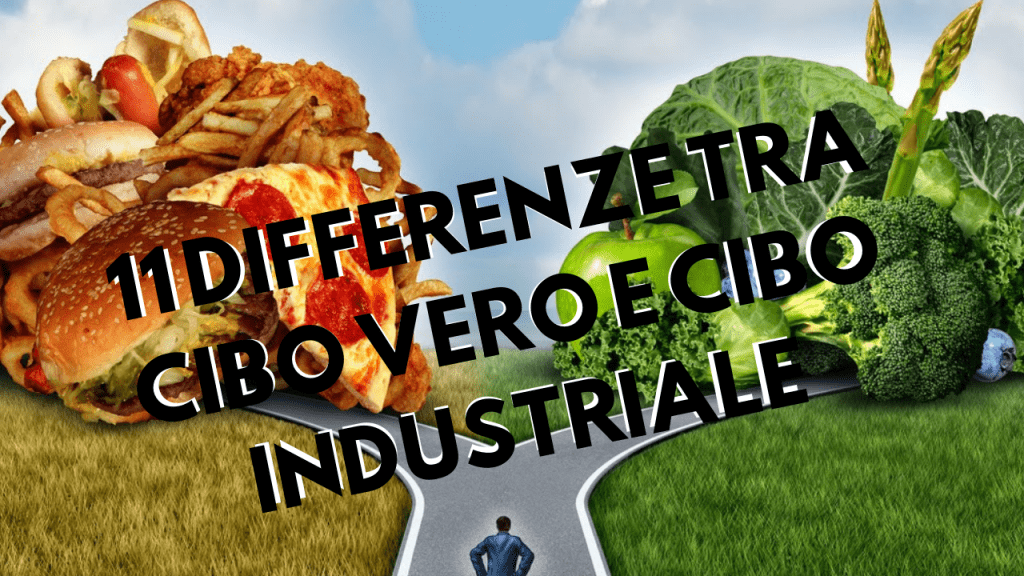differenze tra cibo industriale e cibo sano