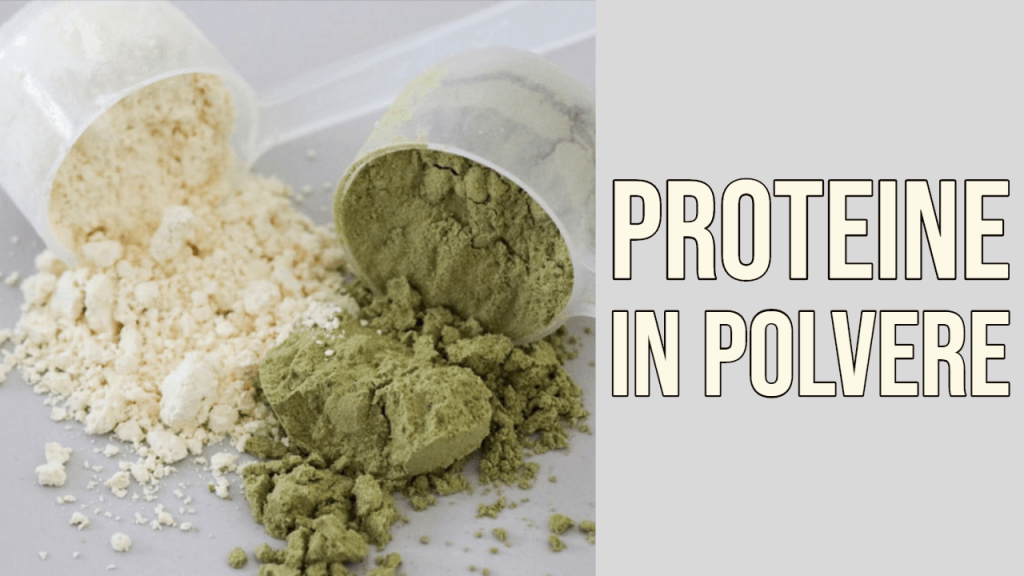 Proteine in Polvere