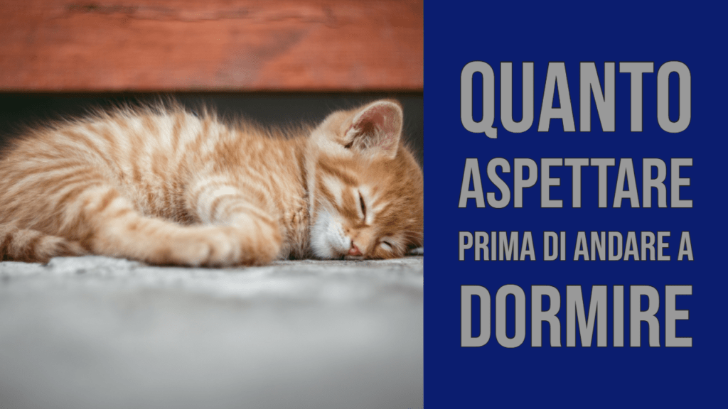 Quanto bisogna aspettare prima di andare a dormire