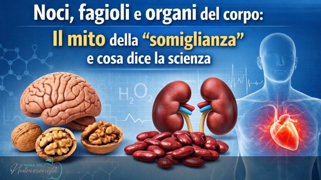 Cibi che assomigliano agli organi: mito, origine storica e cosa dice la scienza